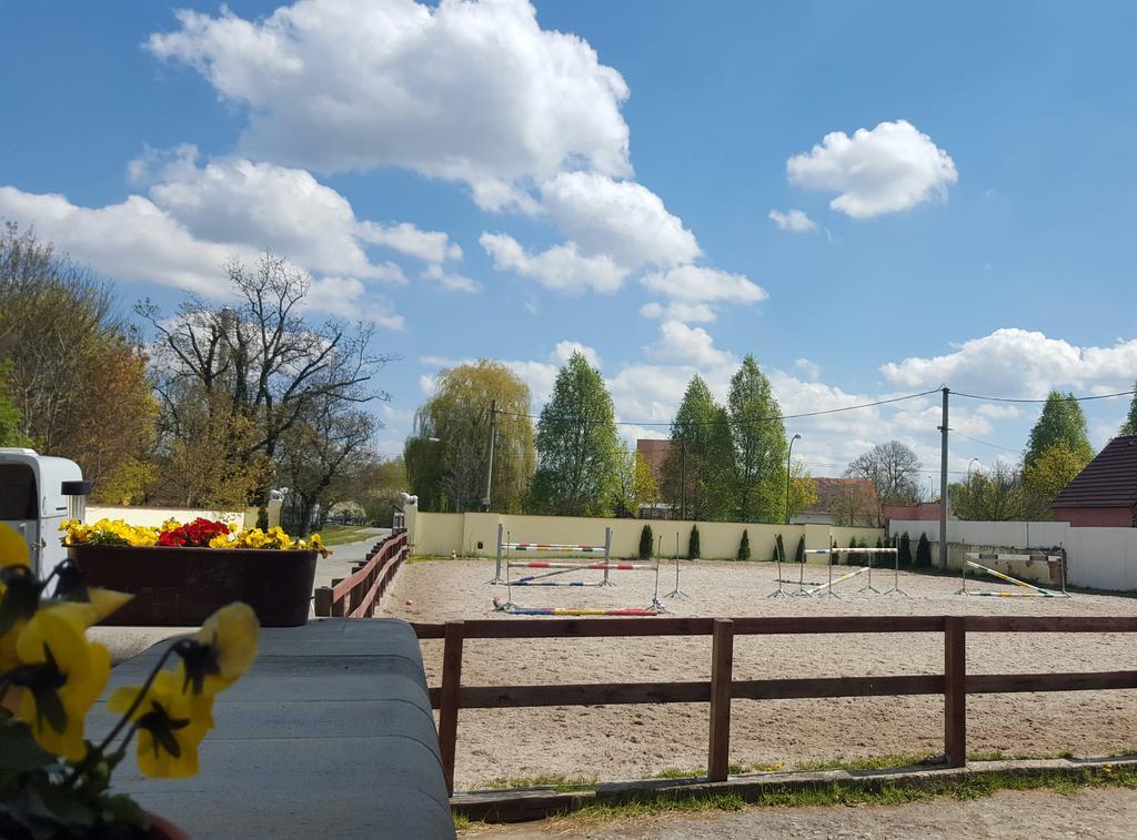 Farm Stay Nh Stables Nyrany Esterno foto