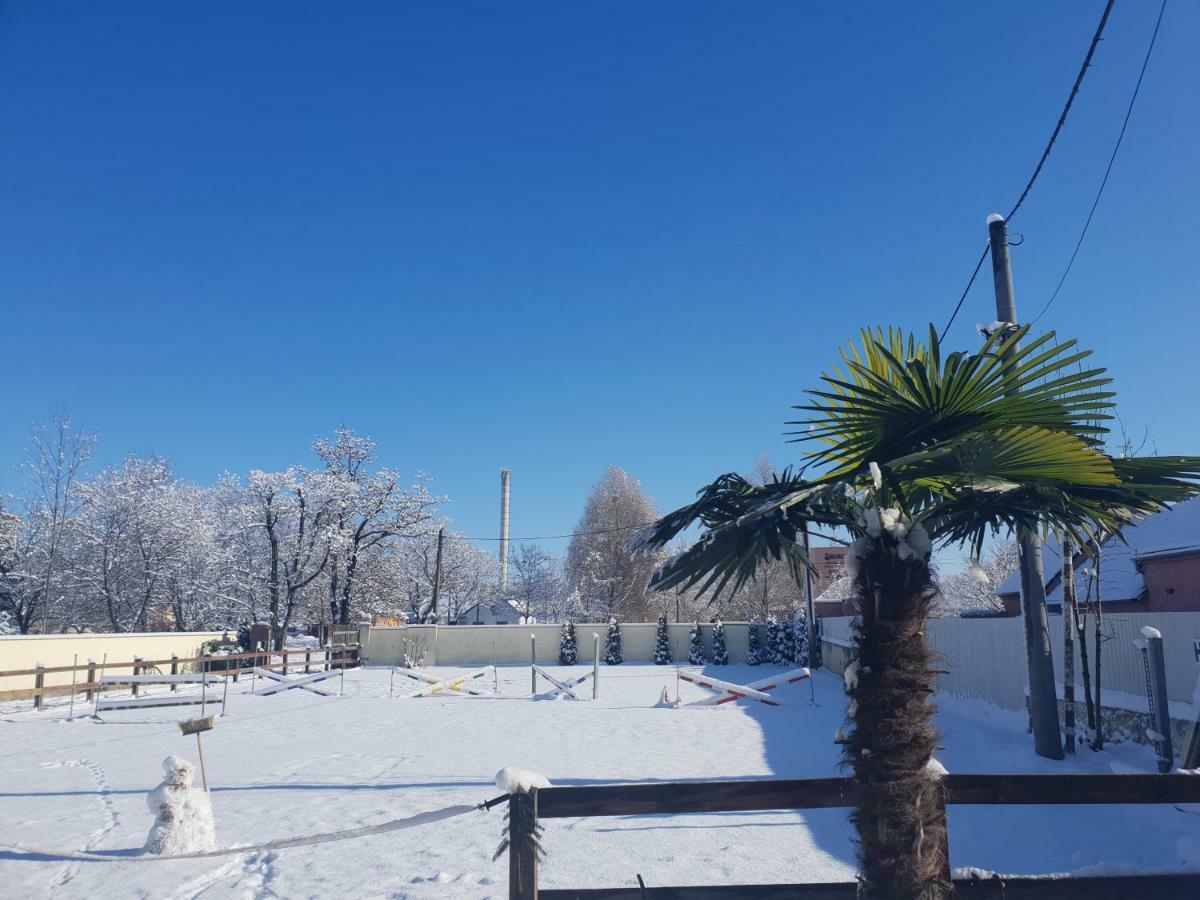 Farm Stay Nh Stables Nyrany Esterno foto