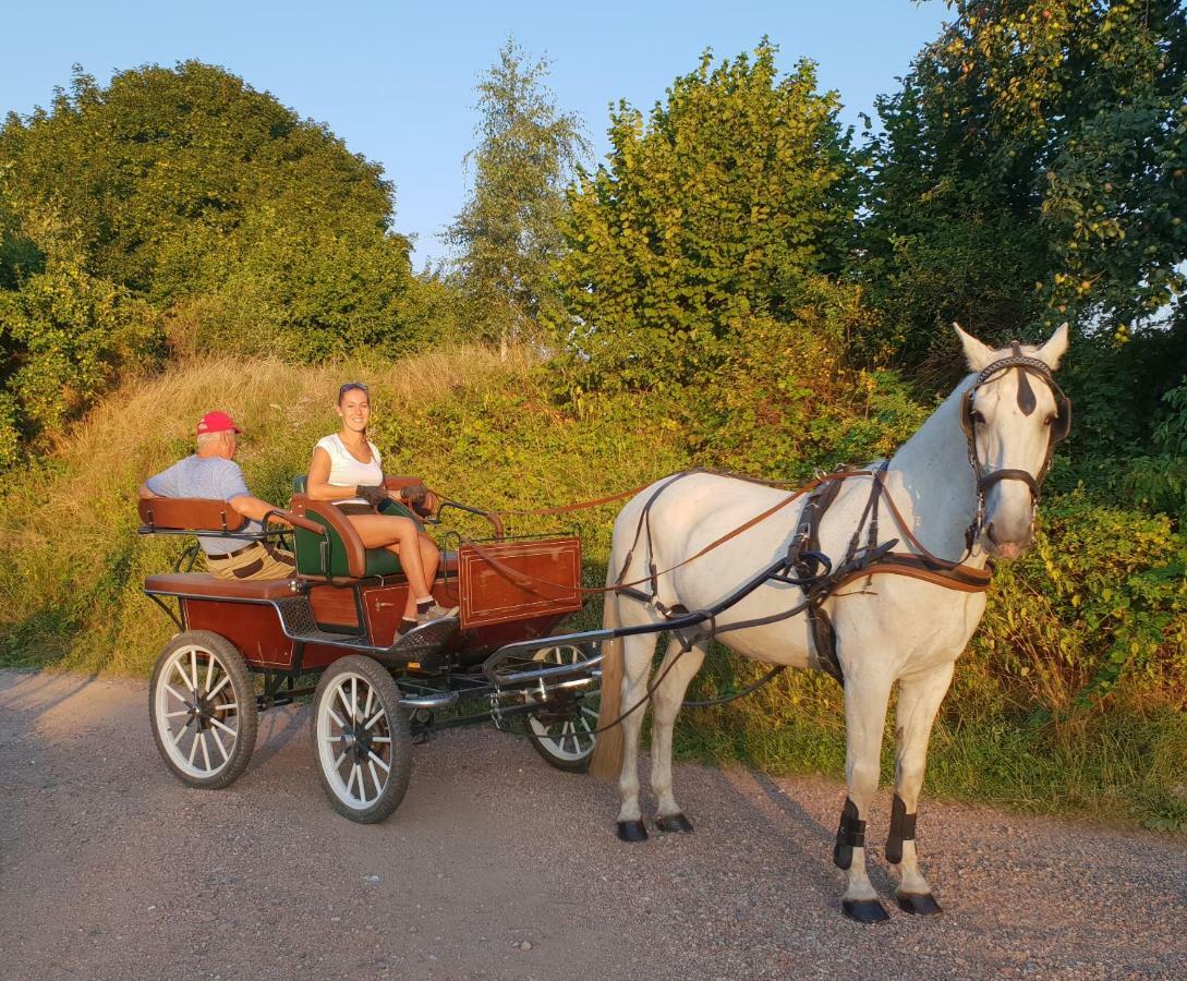 Farm Stay Nh Stables Nyrany Esterno foto